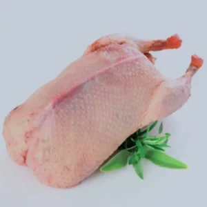 Duck 2.6kg